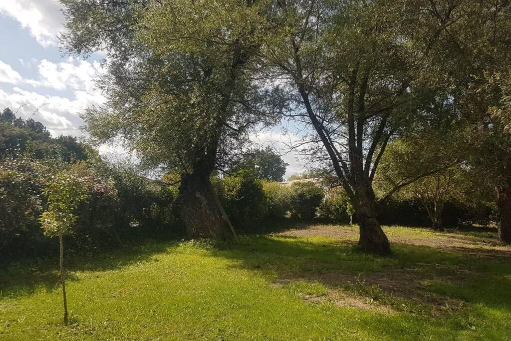 Demeure En Pierre Avec Piscine Privee Villa Etauliers Luaran gambar