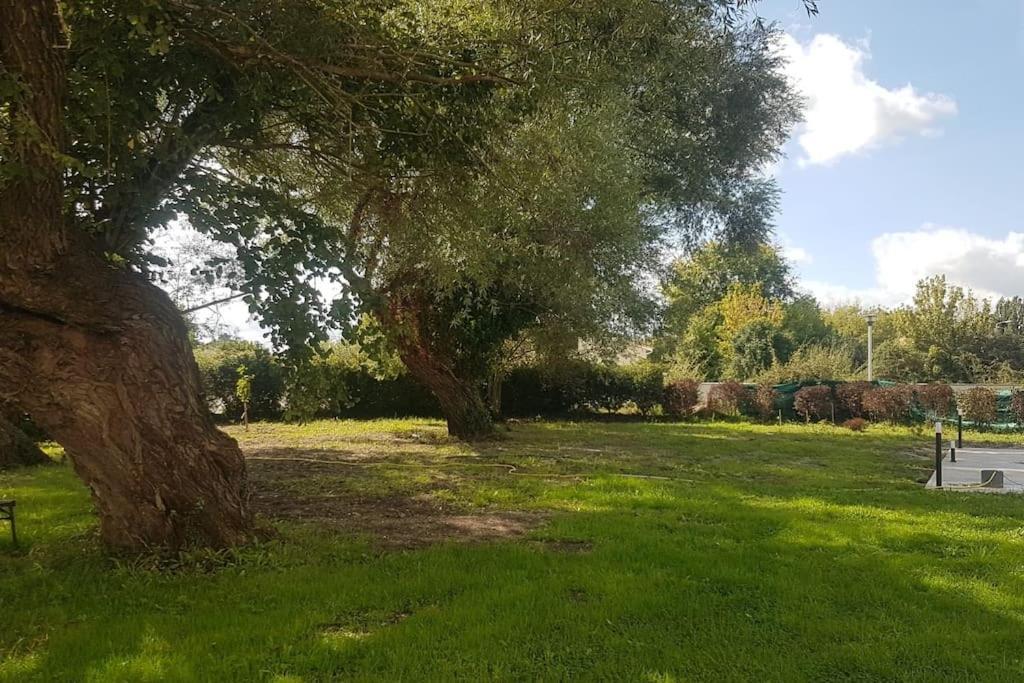Demeure En Pierre Avec Piscine Privee Villa Etauliers Luaran gambar